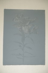 3F-2