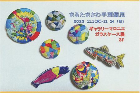 glass23.11-12